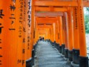These torii have writing on them